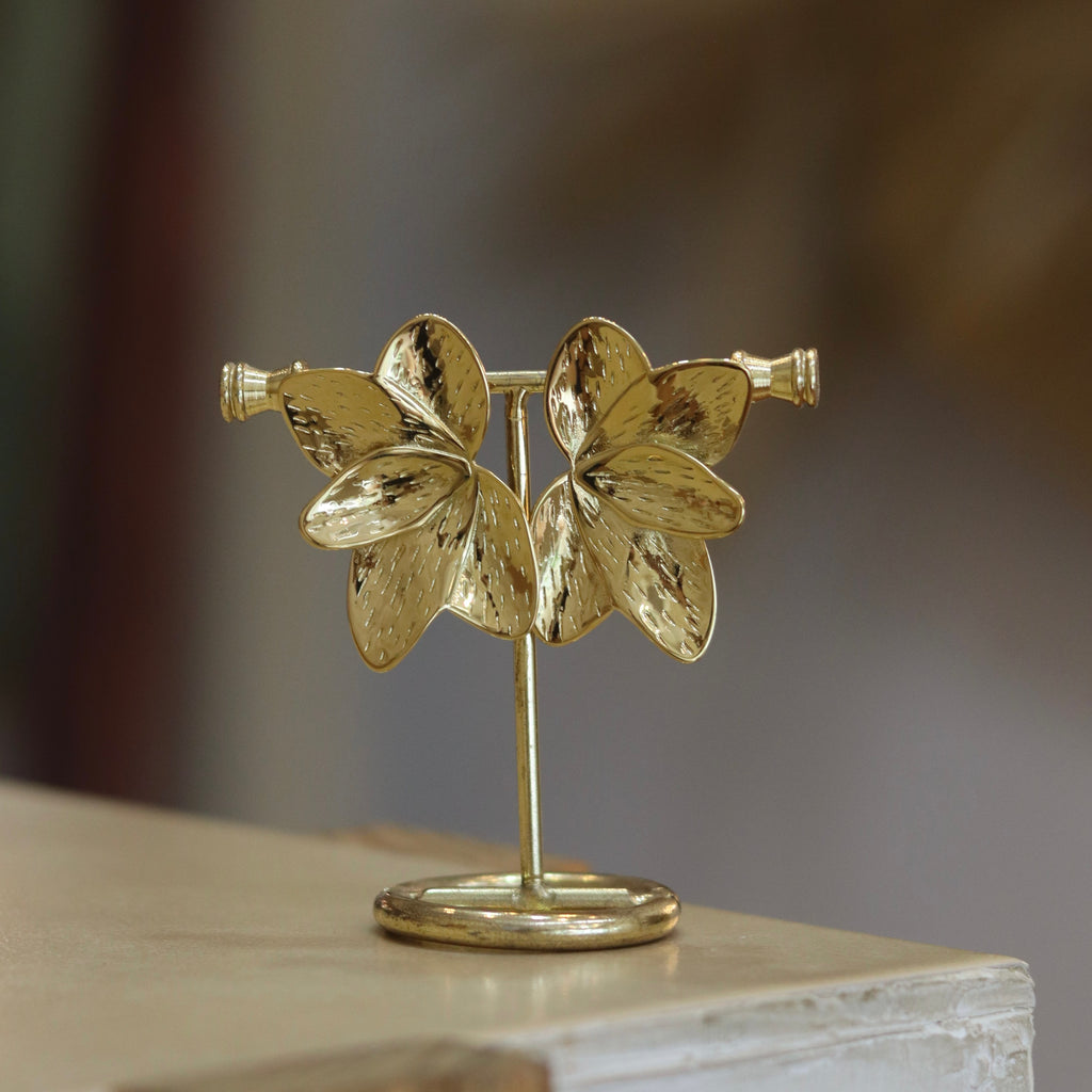 Aretes Asturias