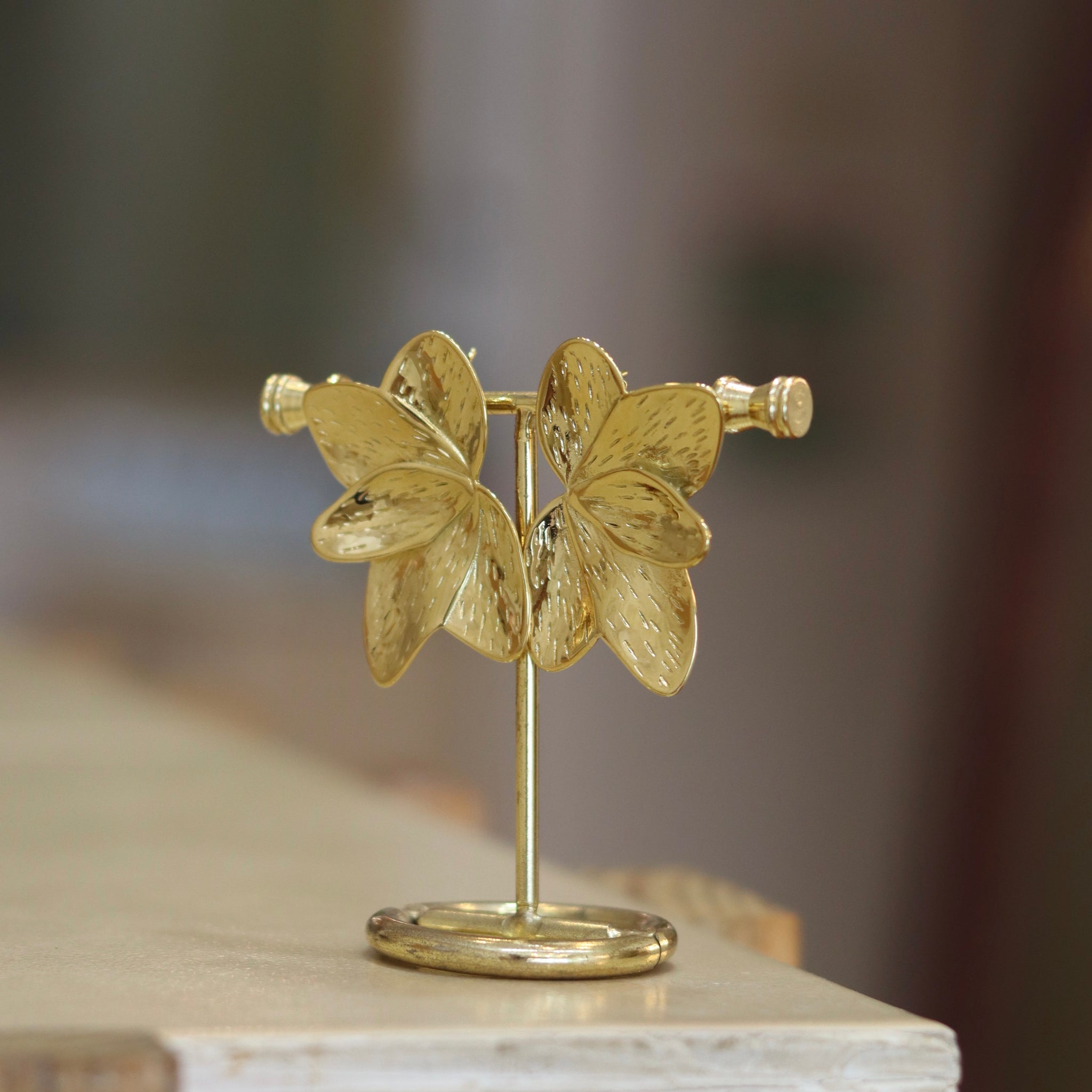 Aretes Asturias