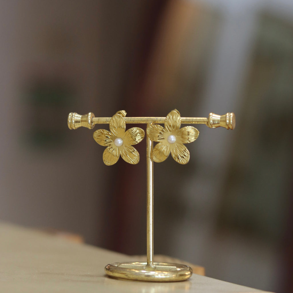 Aretes Cantabria