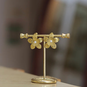 Aretes Cantabria