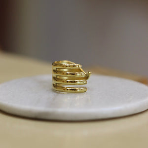 Anillo Aviles