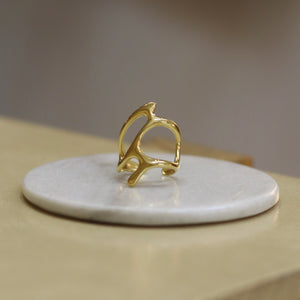 Anillo Toledo
