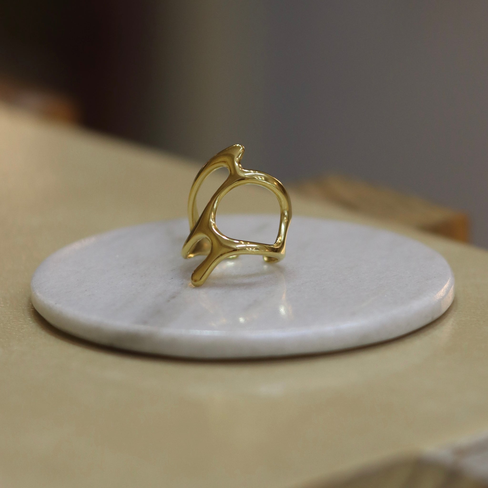 Anillo Toledo