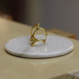 Anillo Toledo