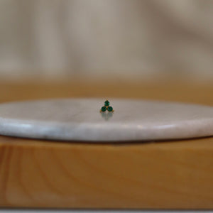 Arete Flora