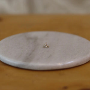 Arete Flora