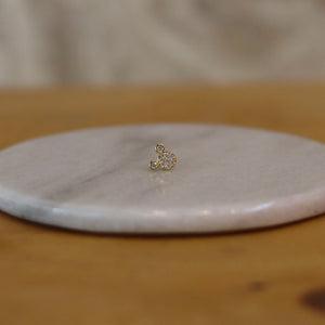 Arete Walter