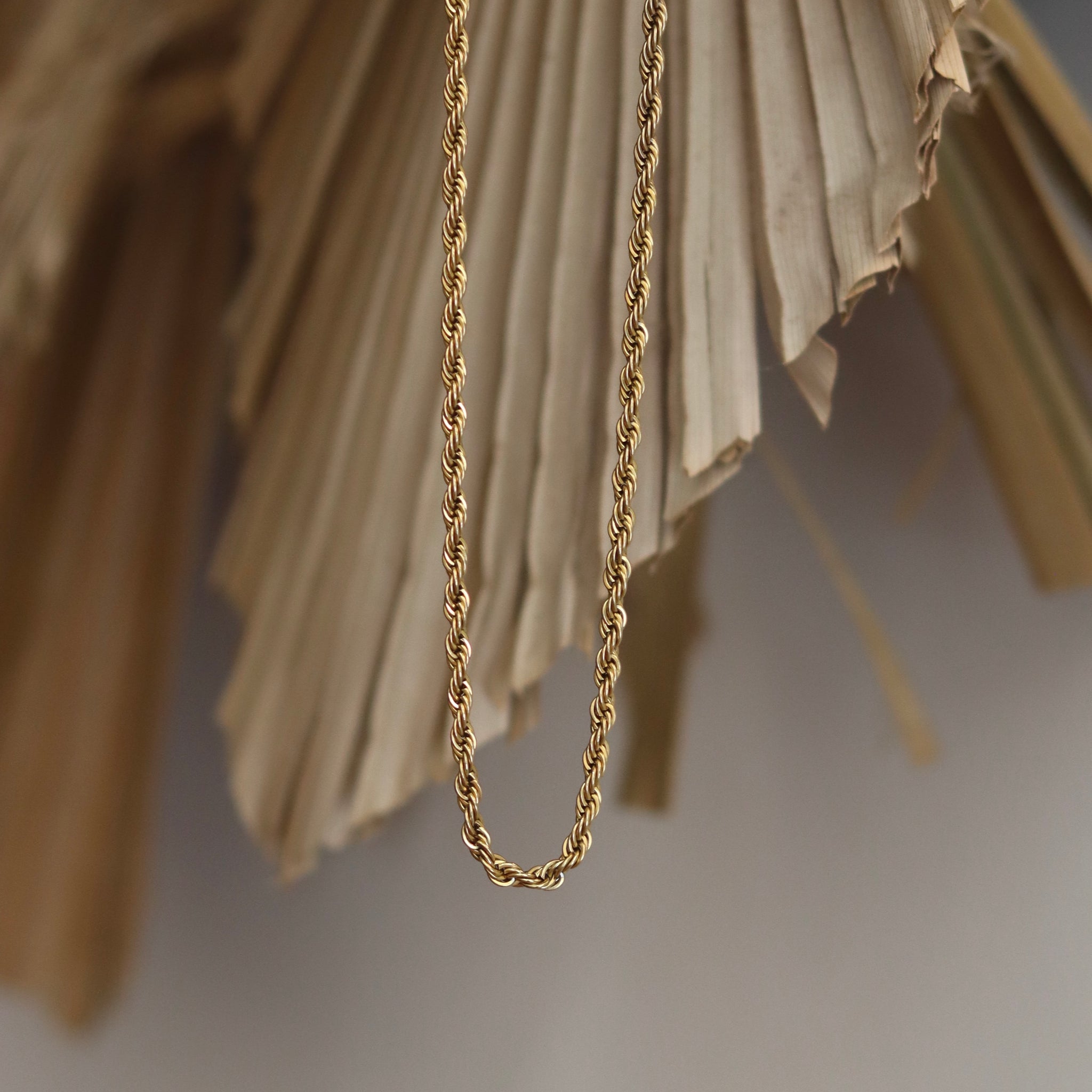 Collar Vang