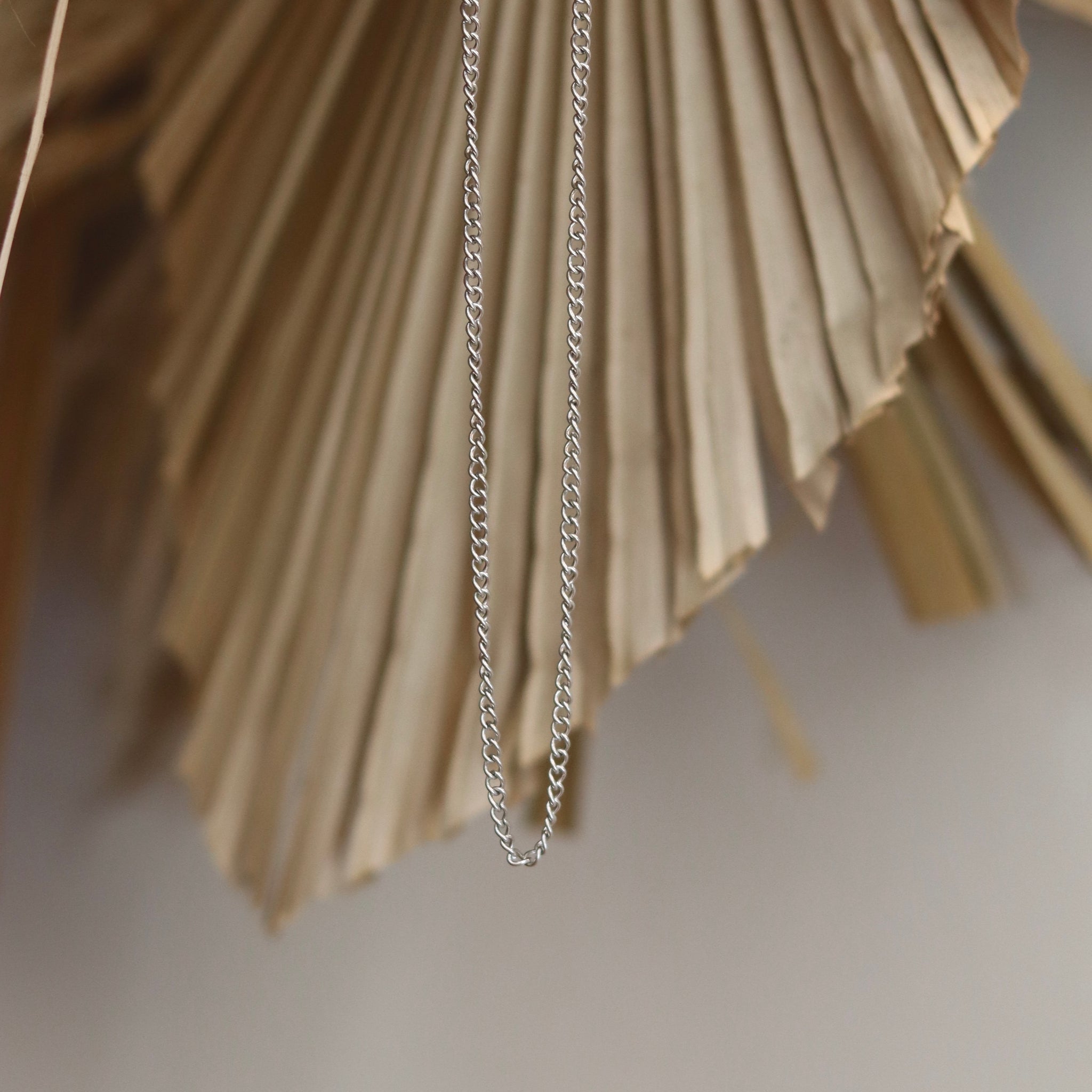Collar Tauber