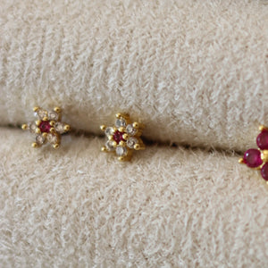 Arete Glicine