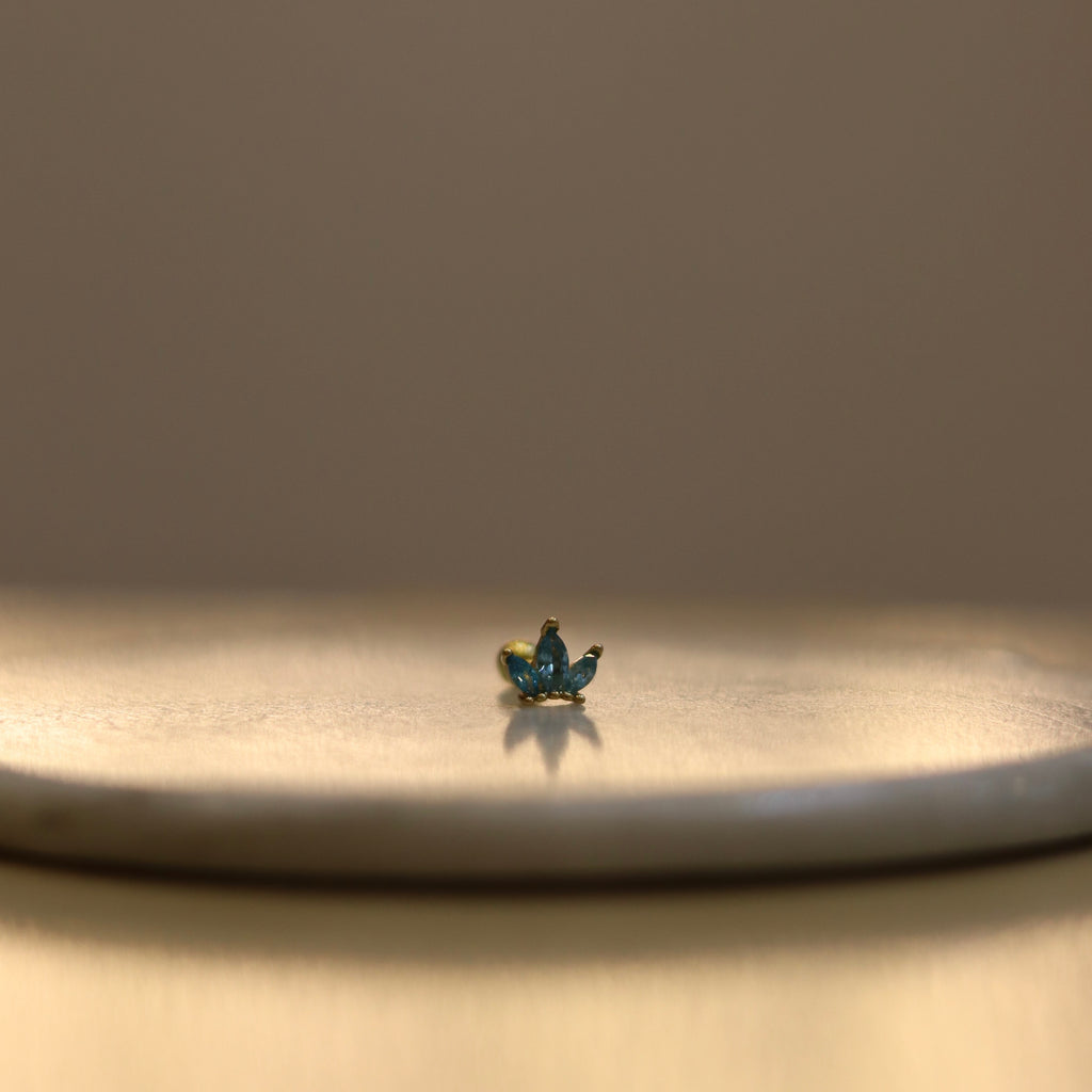 Arete Trixie