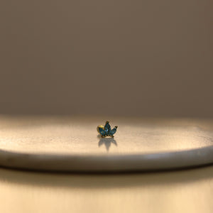 Arete Trixie