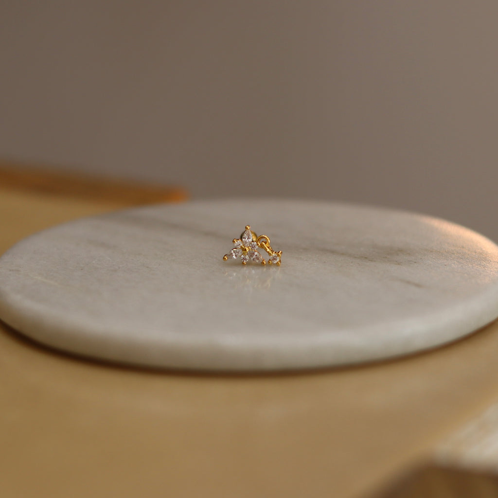Arete Lilium