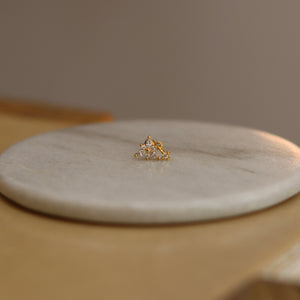 Arete Lilium