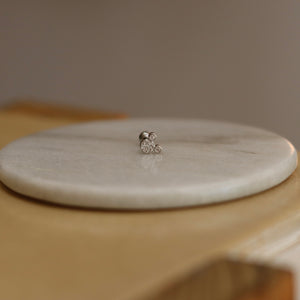 Arete Chiara