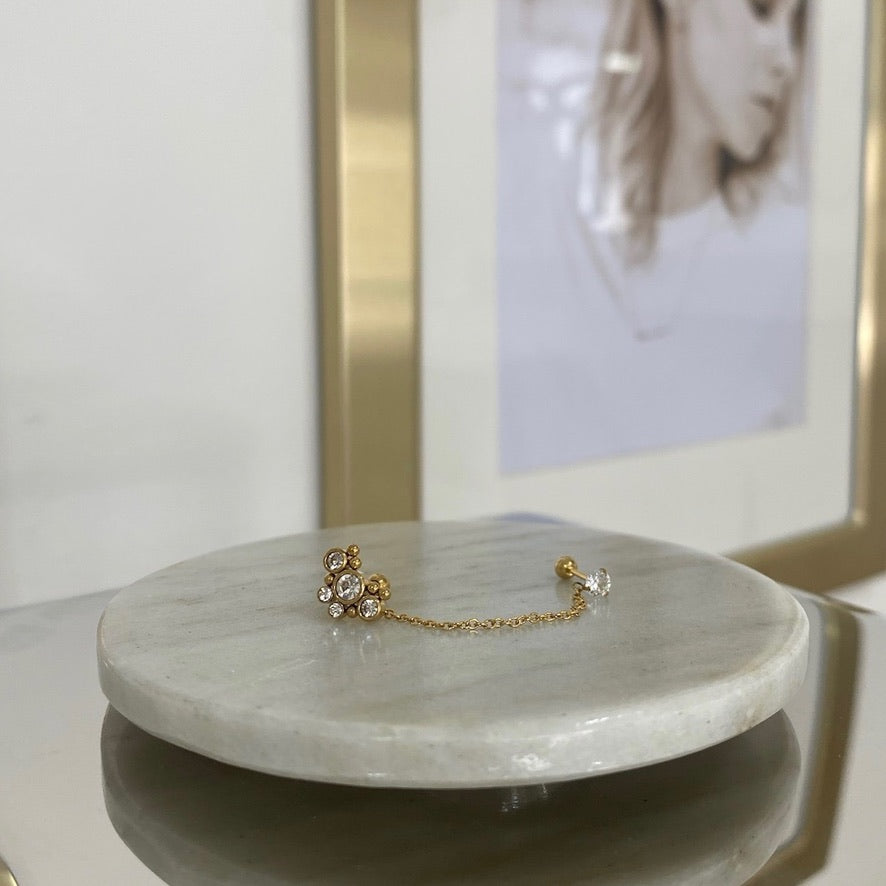 Arete Duke