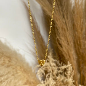 Collar Lynn