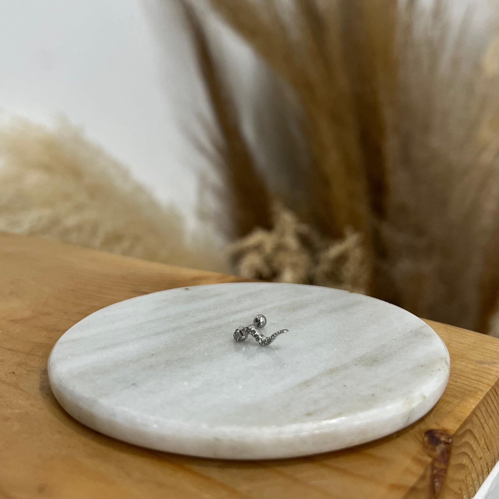 Aretes Sesha