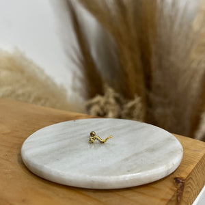 Aretes Sesha