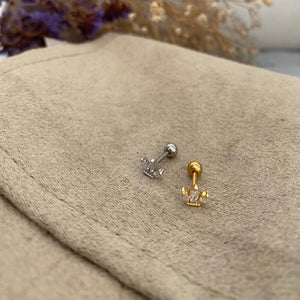 Arete Raven