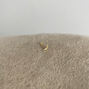 Arete Luna Callisto