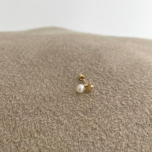 Arete Veronica