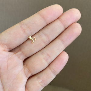 Arete Capricornio - Oro 10k